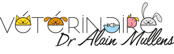 Dr Alain Mullens